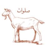 Salawat Goat
