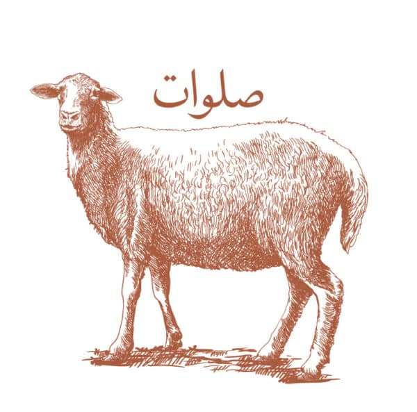 Salawat Sheep